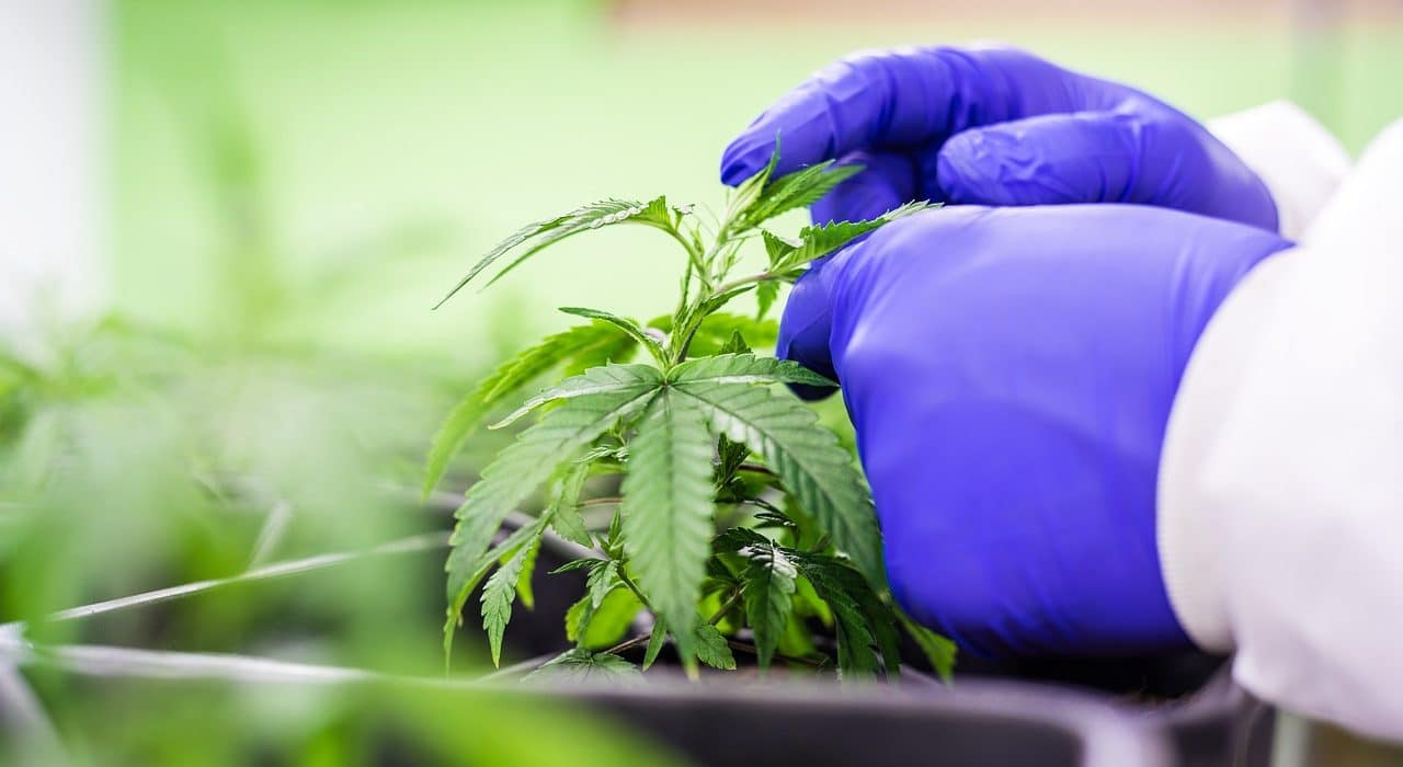 prnI72mV9juKe1Cfghl7